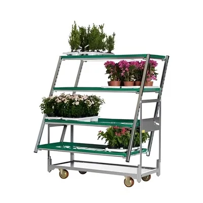 Cărucior metalic pentru flori în industria floricultură: soluții eficiente de transport și afișare